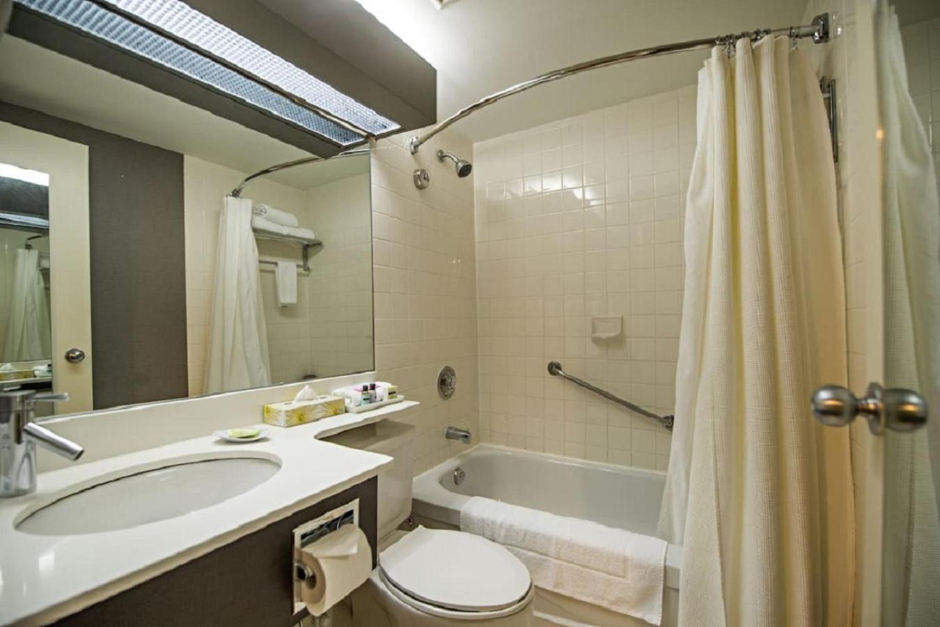 Junior Suite,1212813064:JPEG